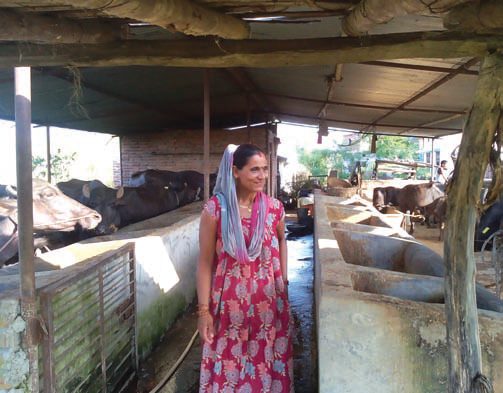 Ms. Chanda Lamichhane from Swatantra Women SRG promoted by Kohalpur branch of Banke district in her buffalo shed.